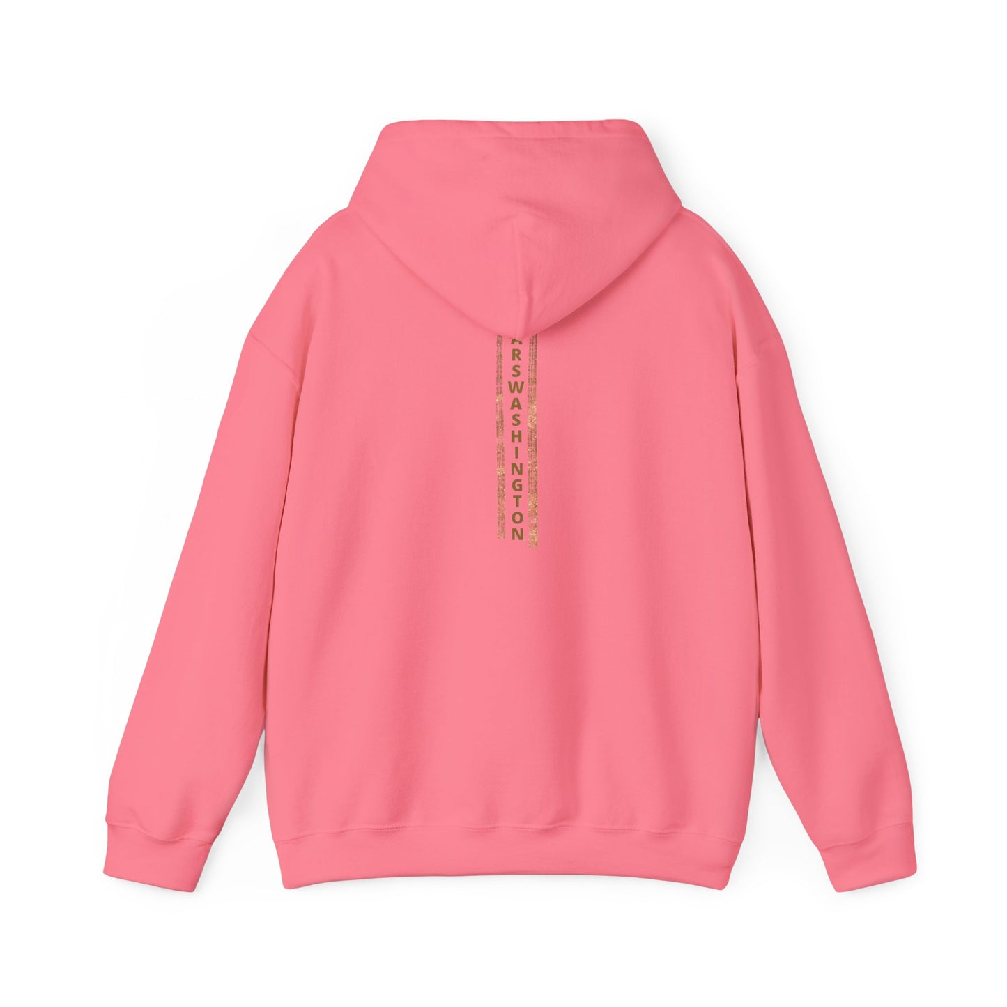 Unisex MARSWASHINGTON hoodie by ITAALE with kangaroo pocket and matching drawstring