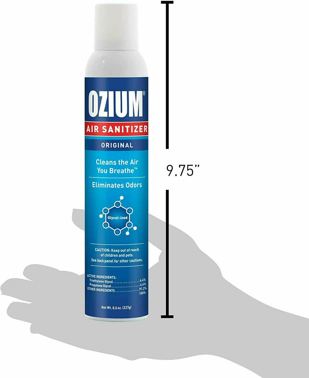 1 can Ozium 805539 1-Piece Air Freshener & Sanitizer 8 oz