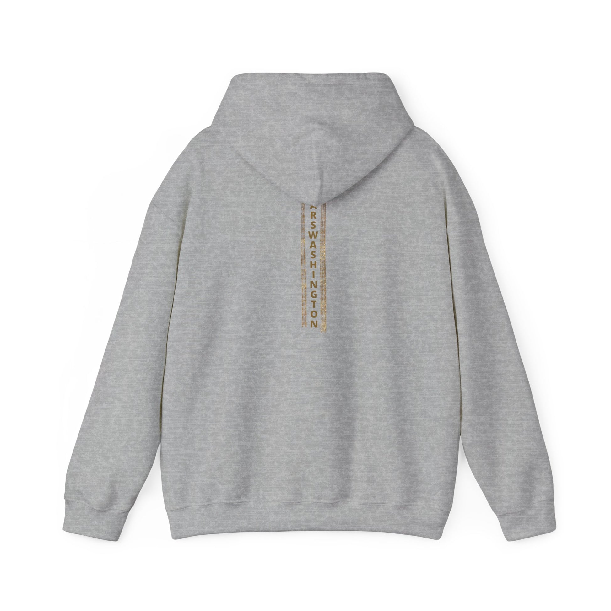 Unisex MARSWASHINGTON hoodie by ITAALE with kangaroo pocket and matching drawstring